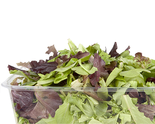 Salad Vegetables