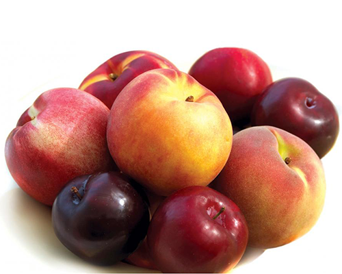 Stone Fruit