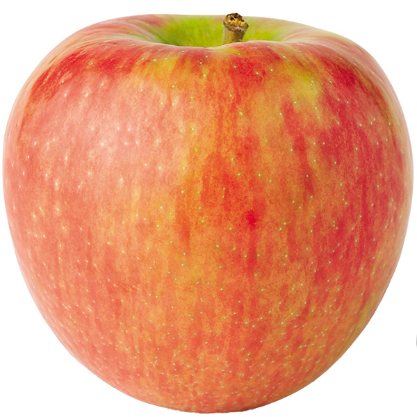 Honeycrisp Apples - Organic Honeycrisp Apples - Washington Fruit Growers