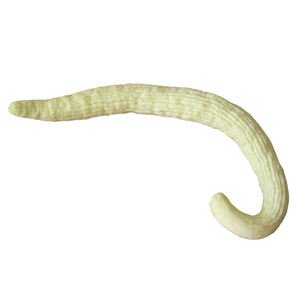 Armenian Cucumbers