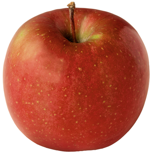 Fuji Apples - Organic Fuji Apple Growers - Washington Fruit Growers