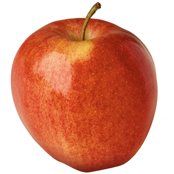 Gala Apples – Ever Fresh