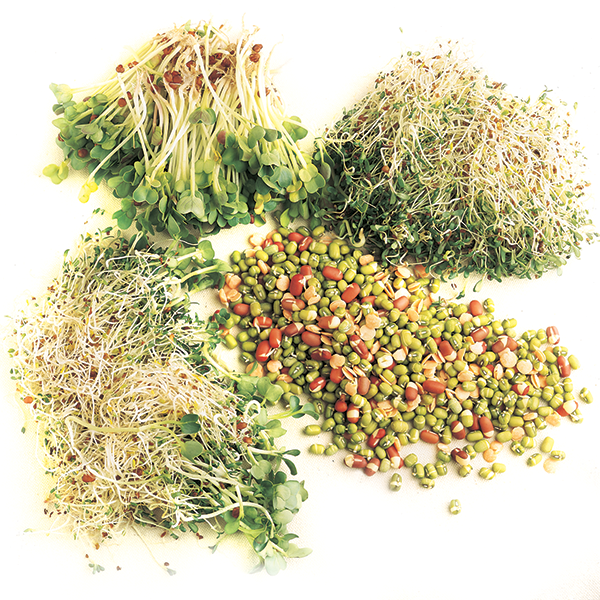 Sprouts