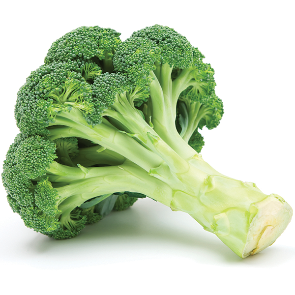 https://www.producemarketguide.com/media/user_5q6Kv4eMkN/400/broccoli_commodity-page.png