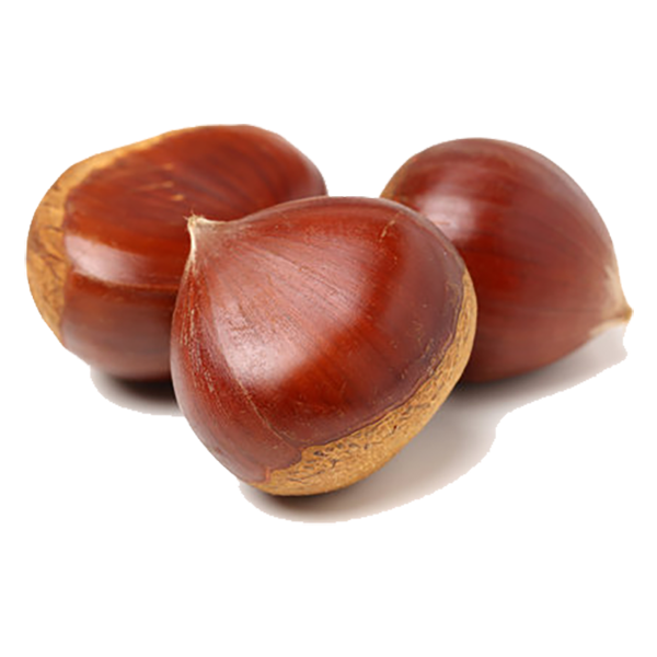 Chestnut