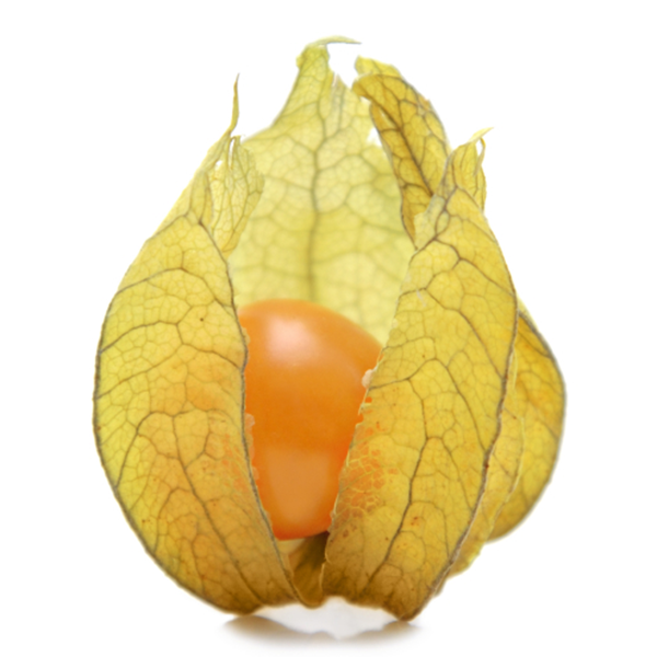 Cape Gooseberries/Goldenberries