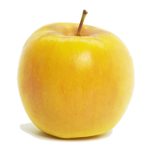 https://www.producemarketguide.com/media/user_RZKVrm5KkV/22466/opalapple.png