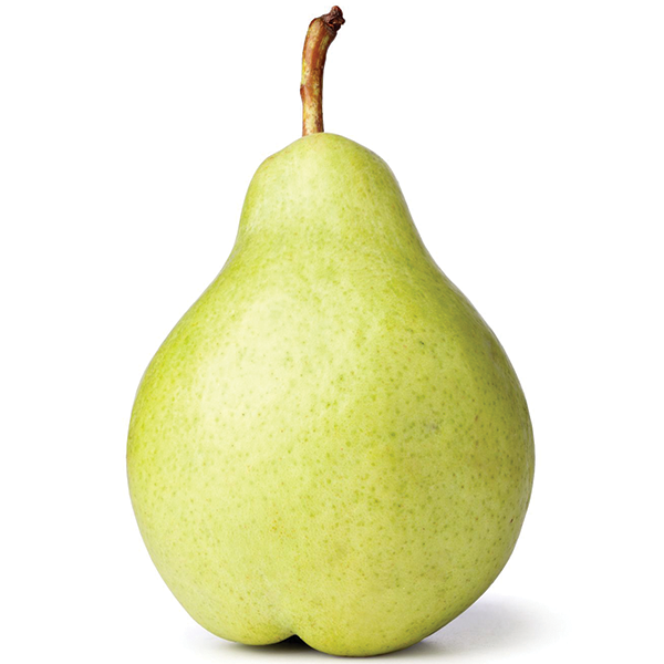 Organic Anjou Pears Information and Facts