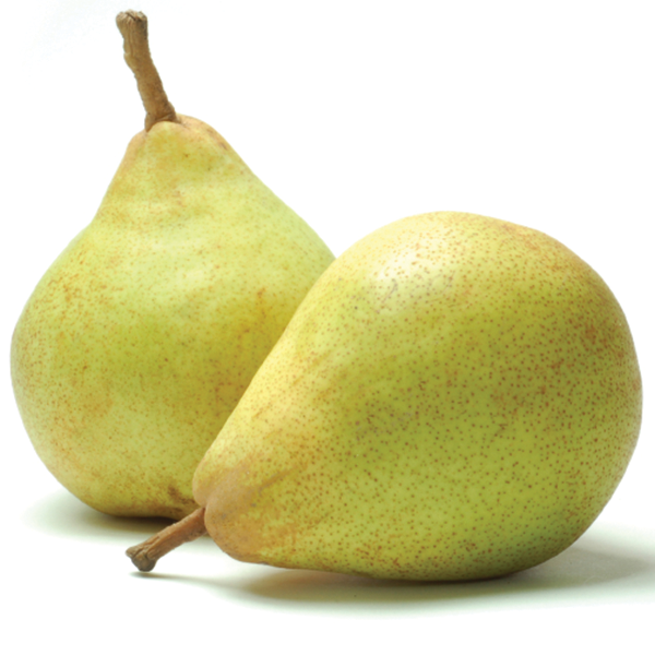 Comice Pear - Definition and Cooking Information 