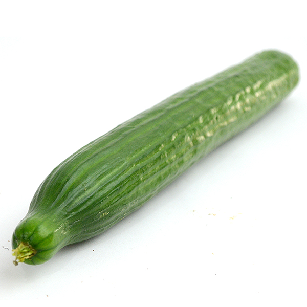 https://www.producemarketguide.com/media/user_RZKVrm5KkV/22524/seedless-cucumber_variety-page.png