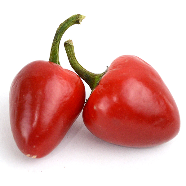 Bell Peppers | PMG Directory