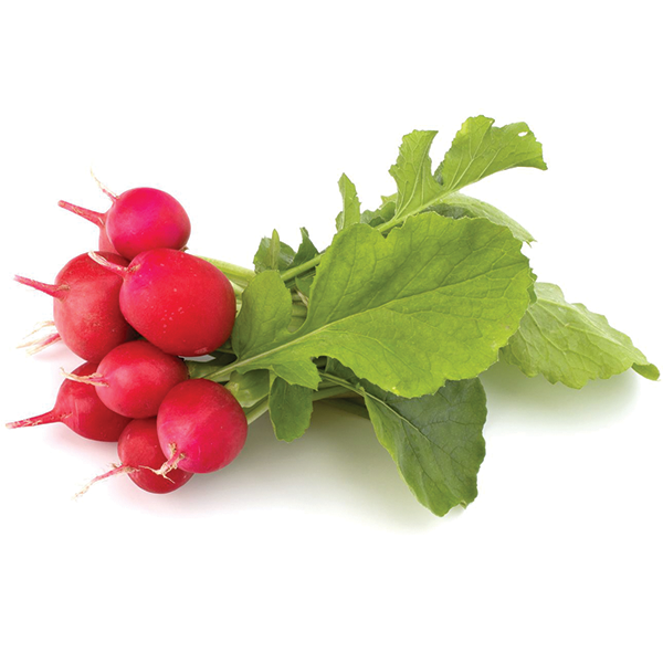 Red Radishes