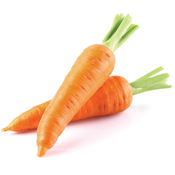 Organic Carrots
