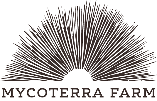 mycoterra-logo