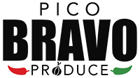 PICOBRAVO-logo