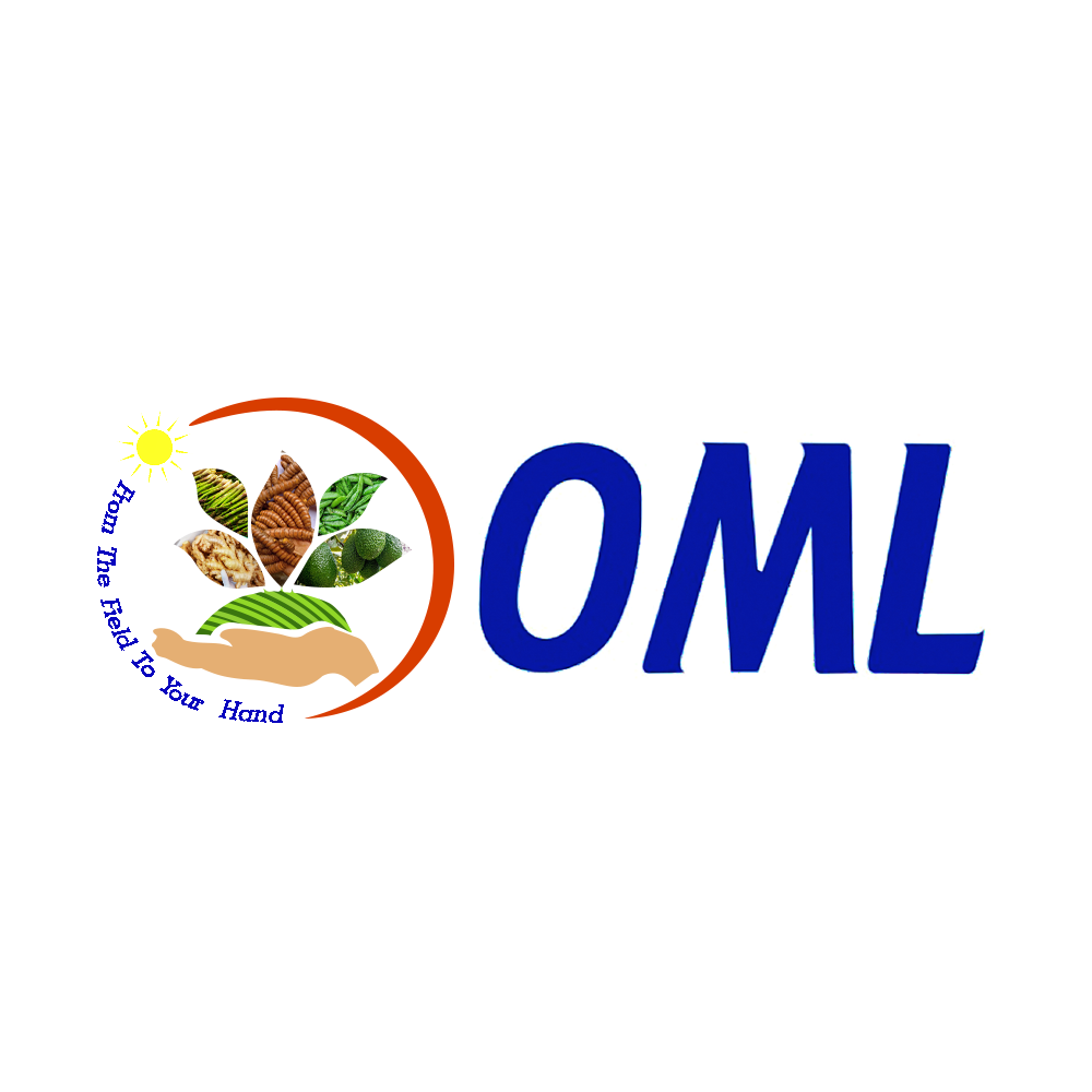 LOGO-OFICIAL-DE-OMLEUROPE