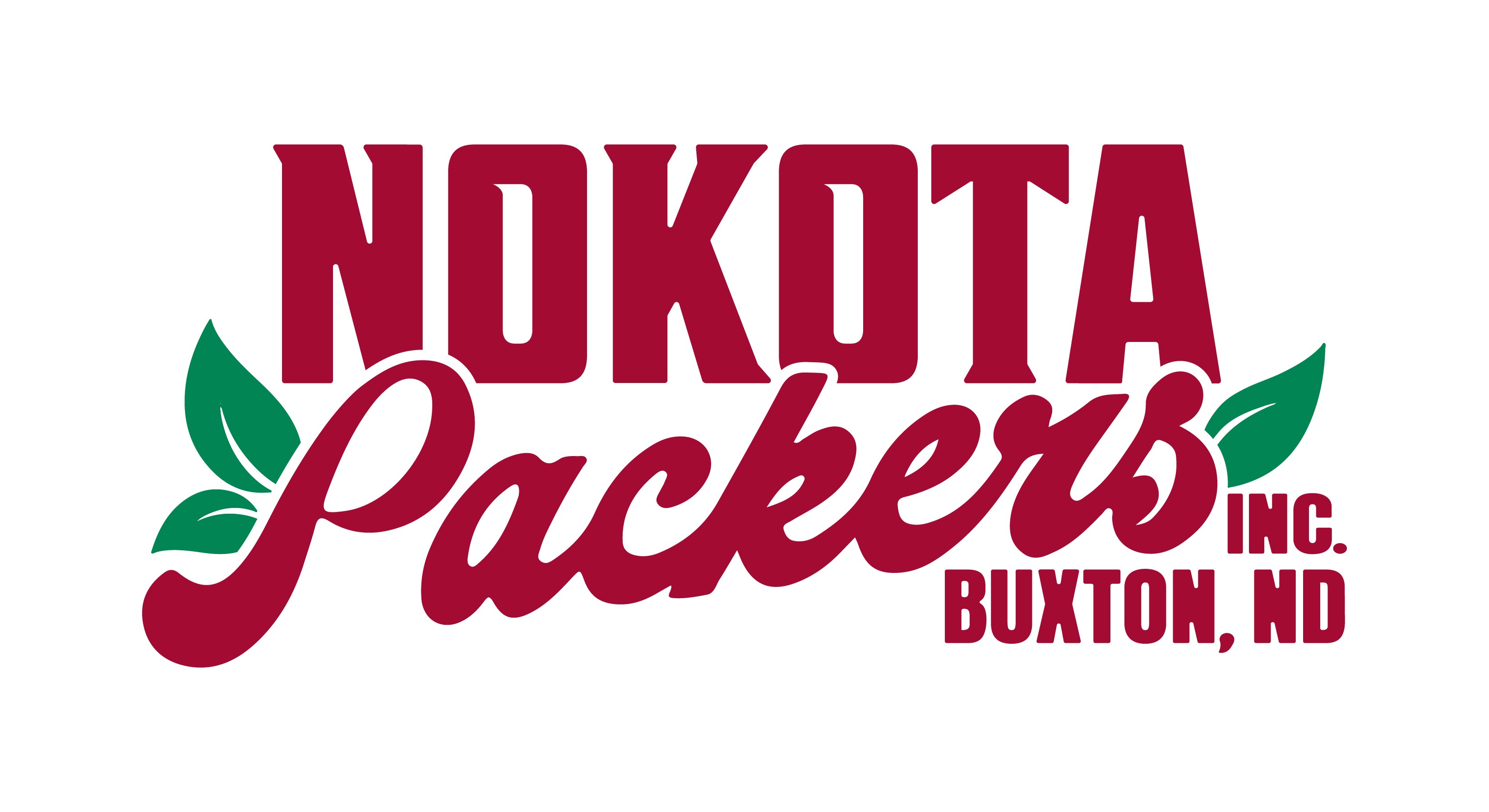 4454_NokotaLogo_FullColor_Logo