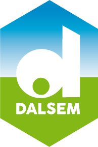 dalsem_logo