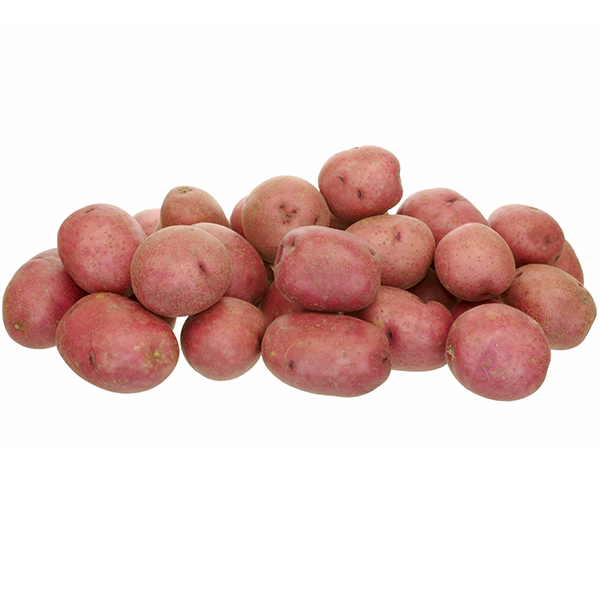 https://www.producemarketguide.com/media/user_v1oz1Yz27j/531/red-potatoes_variety-page.png