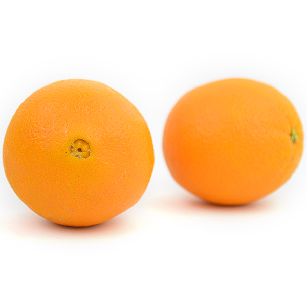 Navel Orange Large