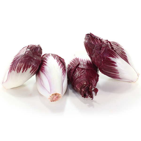Red Belgian Endive